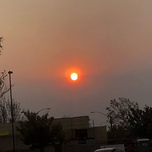 Meet your Posher, Brayden